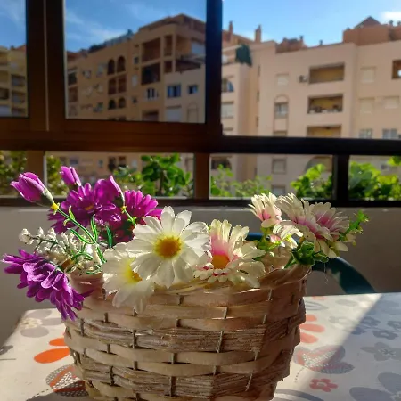 Apartamento Hibisco , Primera Línea De Playa *