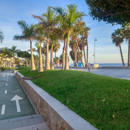 Hibisco , Primera Linea De Playa 公寓 阿尔姆尼卡