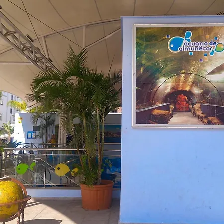 Hibisco , Primera Linea De Playa 公寓